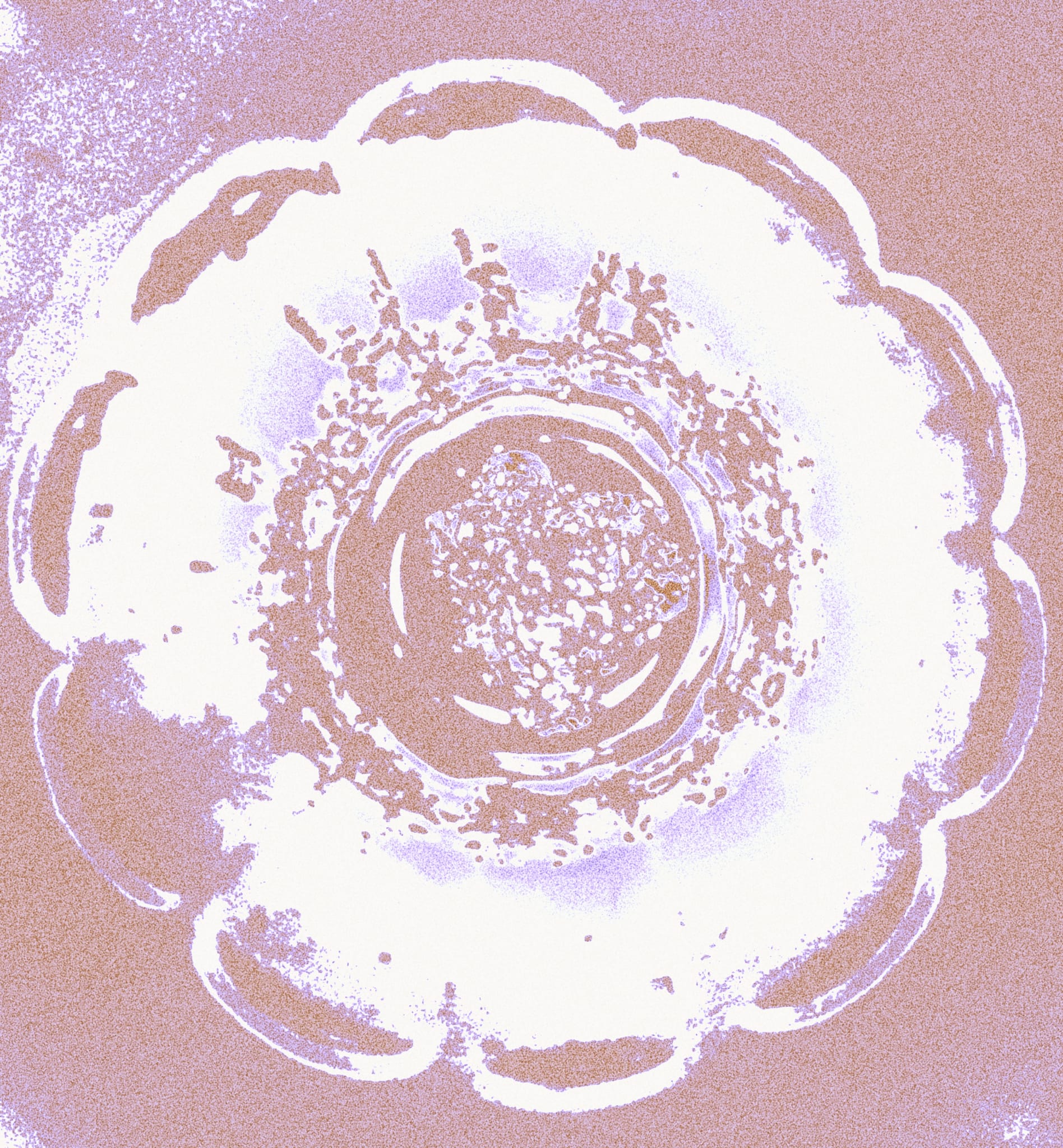 random colour bowl (14)